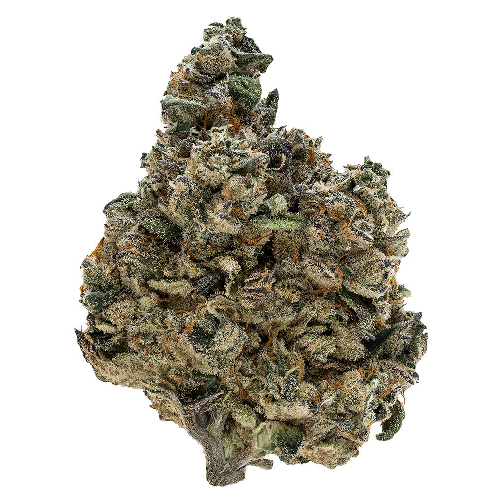 Tribal | Gran Turismo - Tribal | Gran Turismo | 3.5g